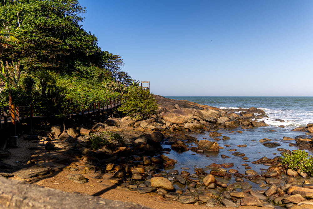 0B3A7564-1.jpg